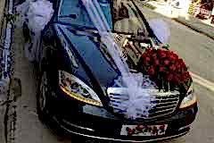 elazig_cicekci_gelin_arabasi_susleme_arac_susleme-7