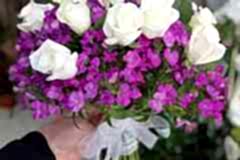 Elazig-Cicekci-Mehmet-13