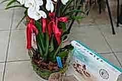 Elazig-Cicekci-Mehmet-14