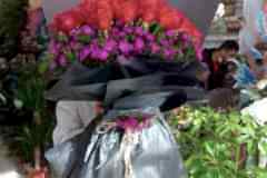 Elazig-Cicekci-Mehmet-27