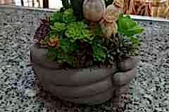 Elazig-Cicekci-Mehmet-28