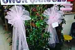 Elazig-Cicekci-Mehmet-3