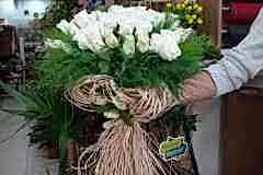 Elazig-Cicekci-Mehmet-30