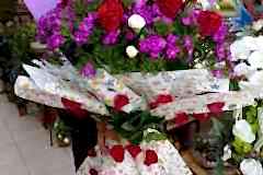 Elazig-Cicekci-Mehmet-37