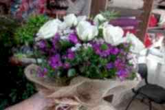 Elazig-Cicekci-Mehmet-40