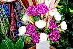 Elazig-Cicekci-Mehmet-51