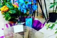 Elazig-Cicekci-Mehmet-6