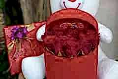 Elazig-Cicekci-Mehmet-61