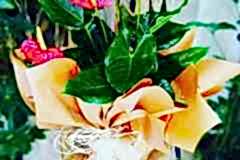 Elazig-Cicekci-Mehmet-65