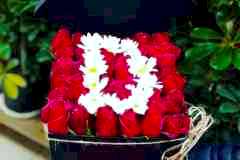 elazig_cicekci_kutulu_gul-13