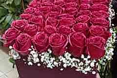 elazig_cicekci_kutulu_gul-5