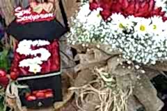 elazig_cicekci_kutulu_gul-6