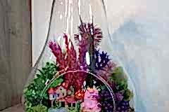 elazig_cicekci_teraryum-21