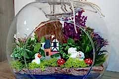 elazig_cicekci_teraryum-4